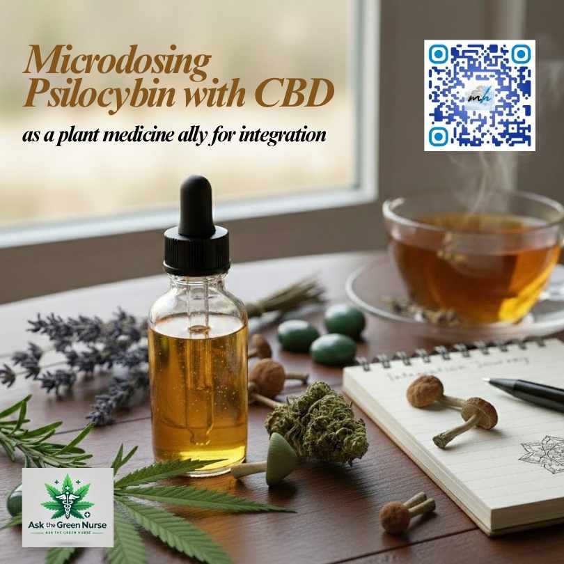 Bottle of CBD oil beside dried psilocybin mushrooms, cannabis leaves, herbal tea, and a journal, illustrating microdosing psilocybin with CBD for plant medicine integration.