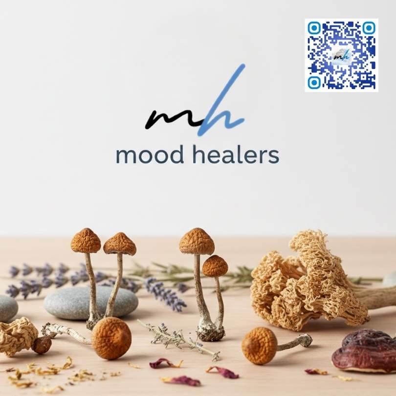 Mood Healers logo displayed above medicinal mushrooms, herbs, and natural wellness ingredients with a QR code.