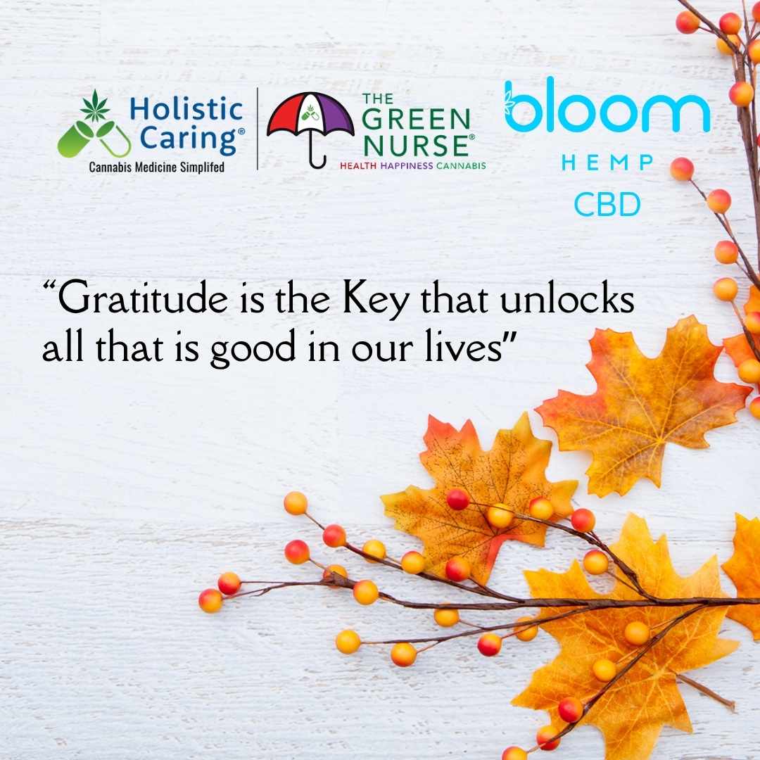 Image of fall leaves on a white background with the quote "Gratitude is the key that unlocks all that is good in our lives."