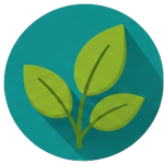 Integrative & Functional Medicine Providers